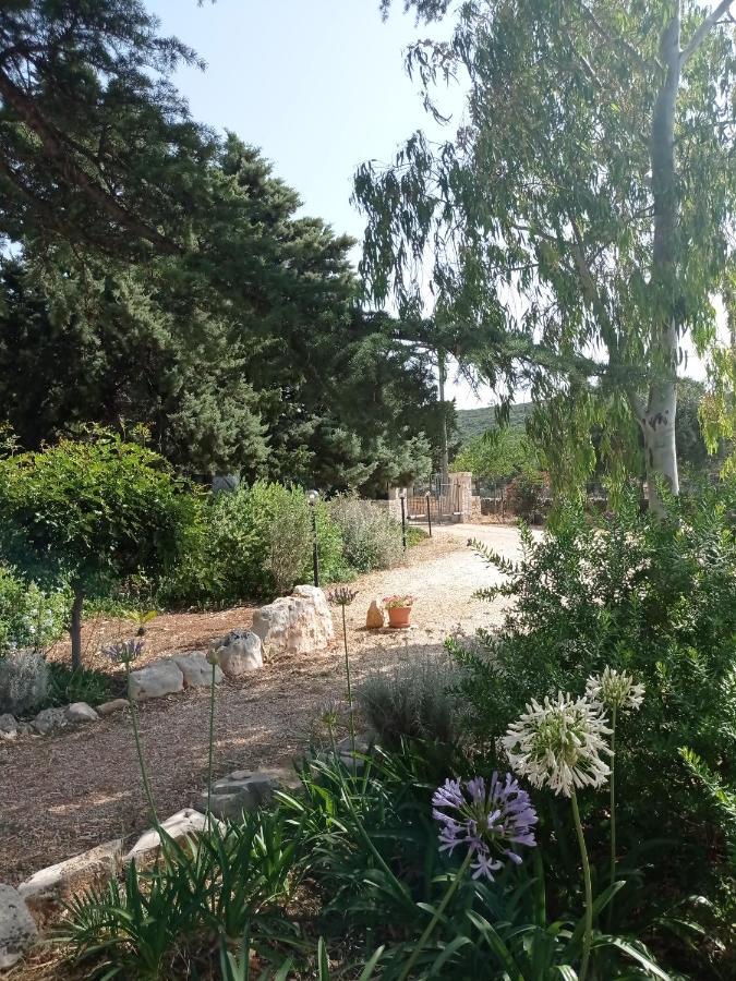 Dimora Dalia - Puglia Mia Apartments Monopoli Zewnętrze zdjęcie